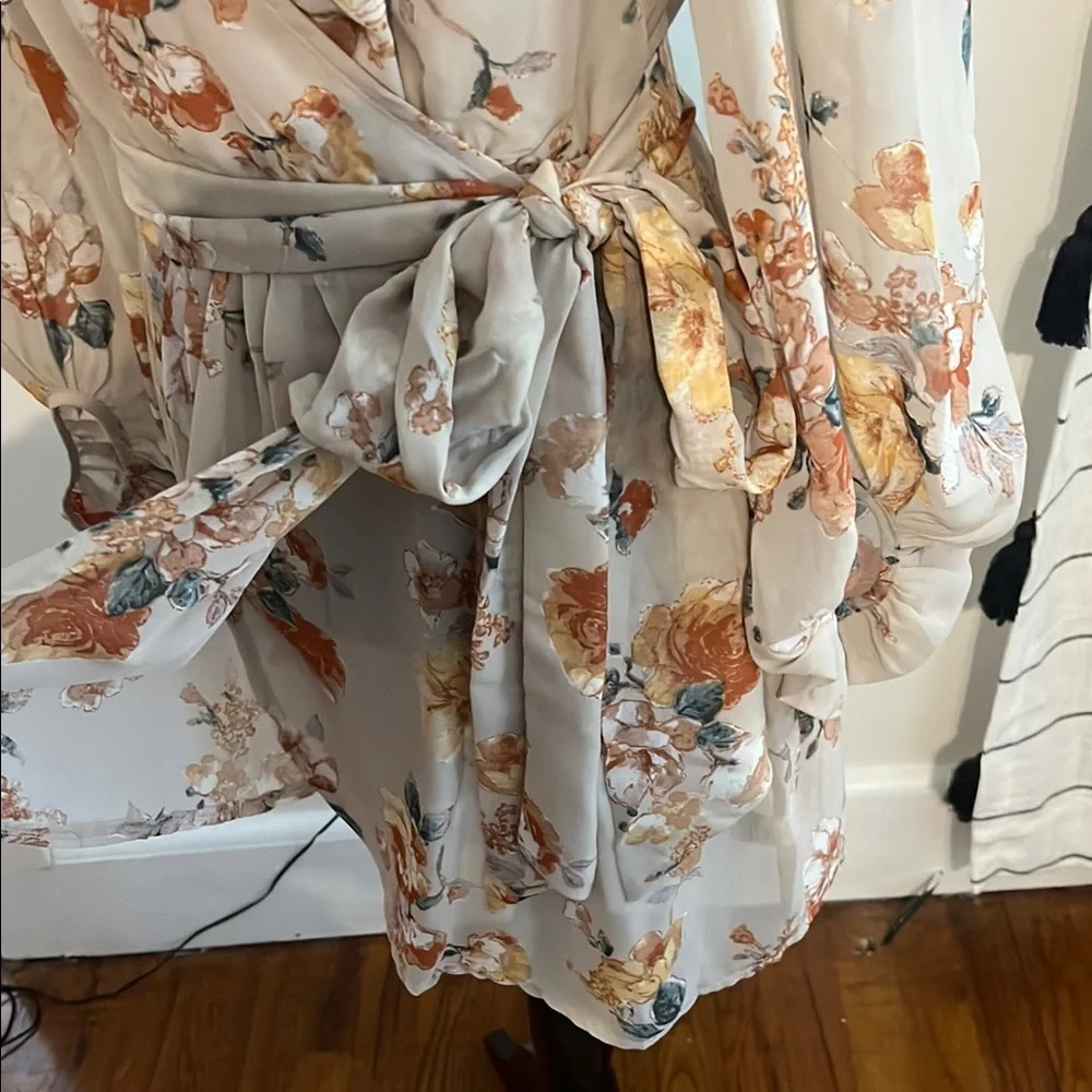 Hudson Gray Beige Floral Wrap Dress NWOTSheer Long Sleeve Tie Waist Size Small